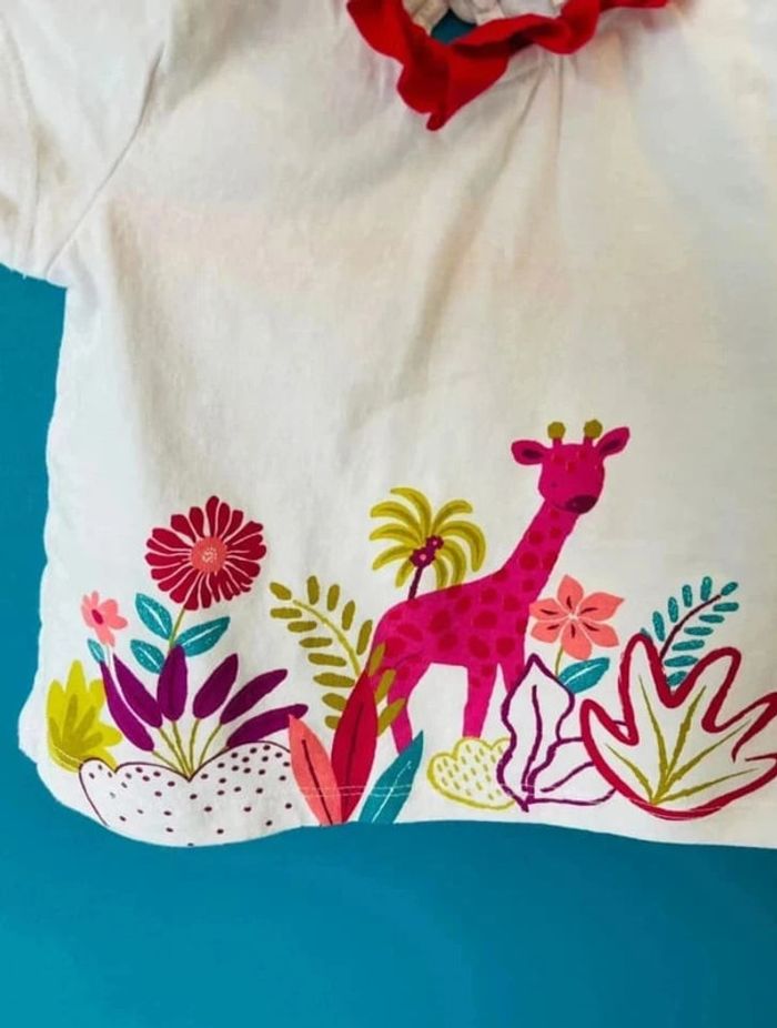 Magnifique t-shirt manches courtes 6 mois DPAM - photo numéro 2