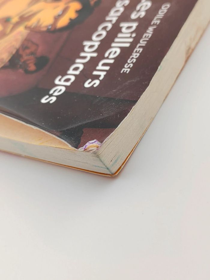 Livre Les pilleurs de sarcophages Tome 1 - photo numéro 6