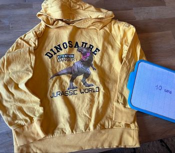 Sweat jurassic World taille 10 ans