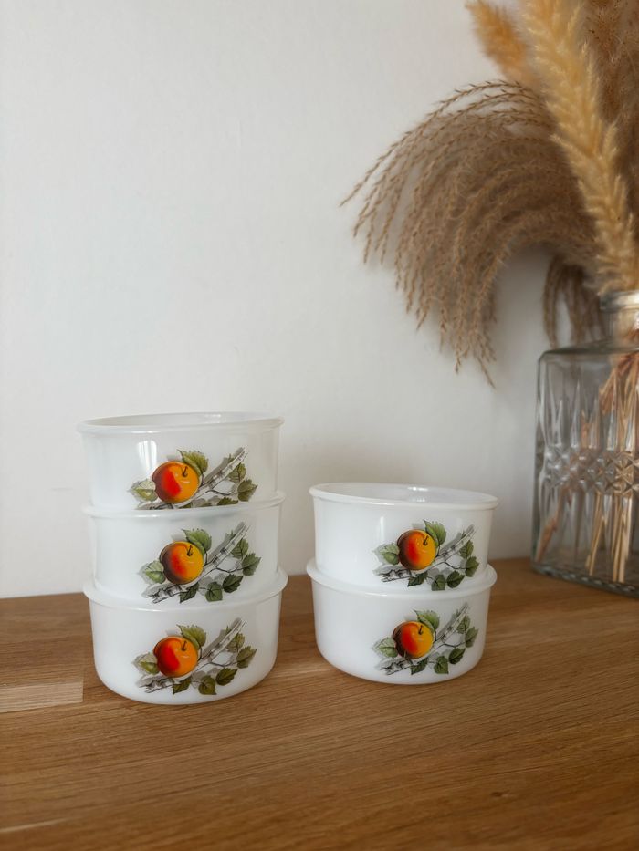 Vintage lot de 5 ramequins Arcopal fruits du verger