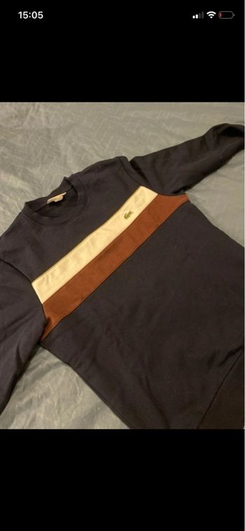 Lot pull Lacoste neuf