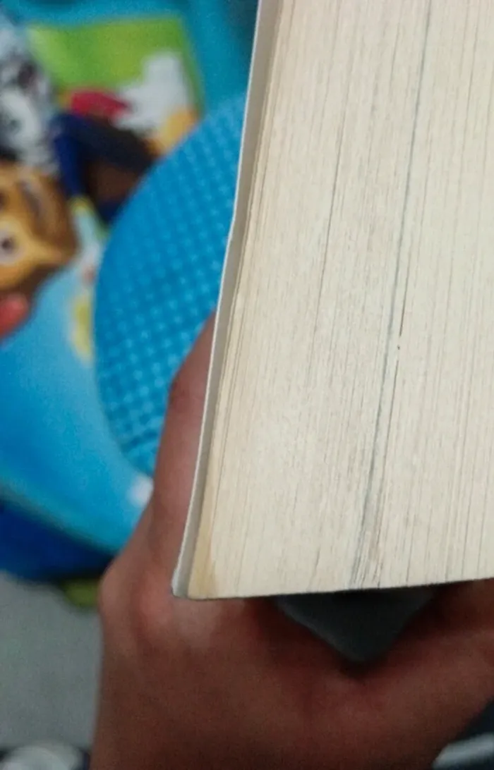 Livre "Juliette autour du monde" - photo numéro 3