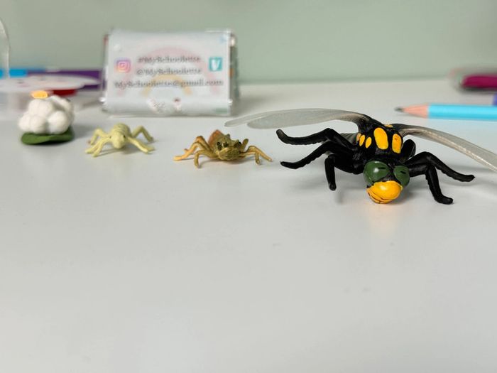 Cycle de vie: Figurines de la Libellule (Langage, sciences.) - photo numéro 15