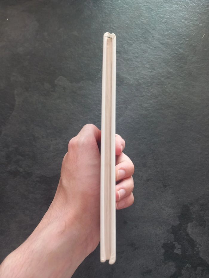 Gris souris - photo numéro 4