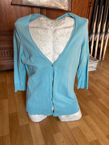 #femmeGilet