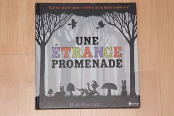 Une étrange promenade