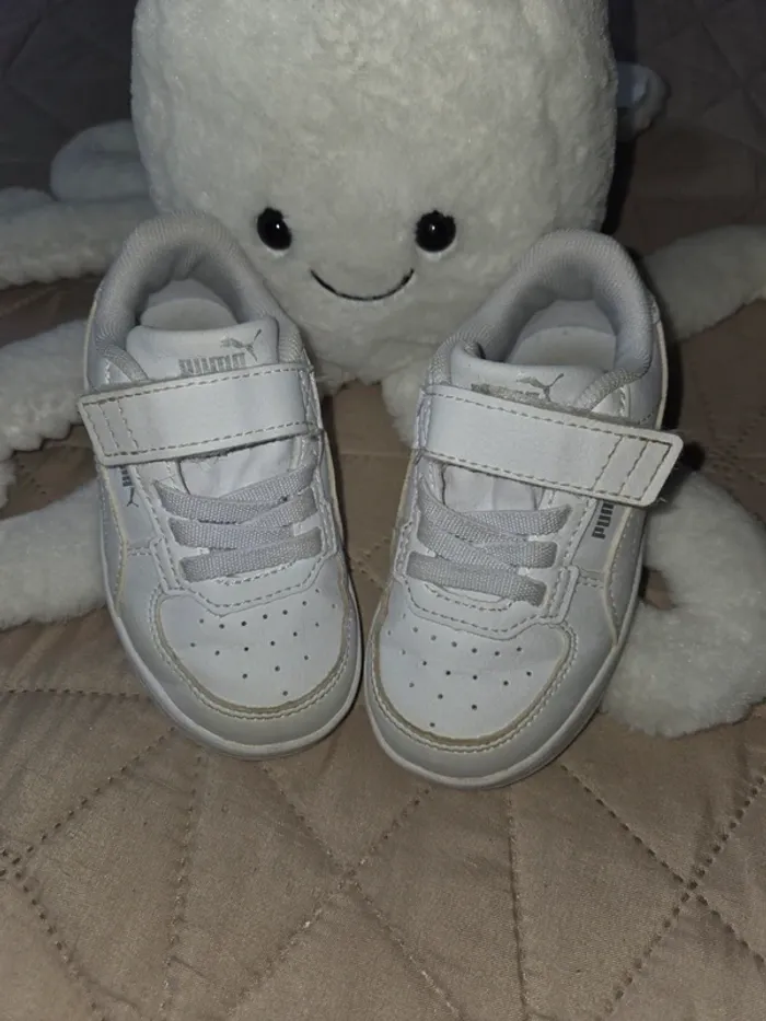 Basket Puma
