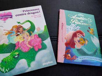Lot Ariel et Princesse contre dragon