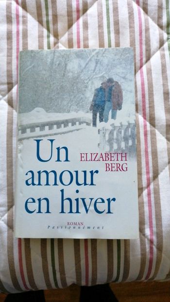 Un amour en hiver