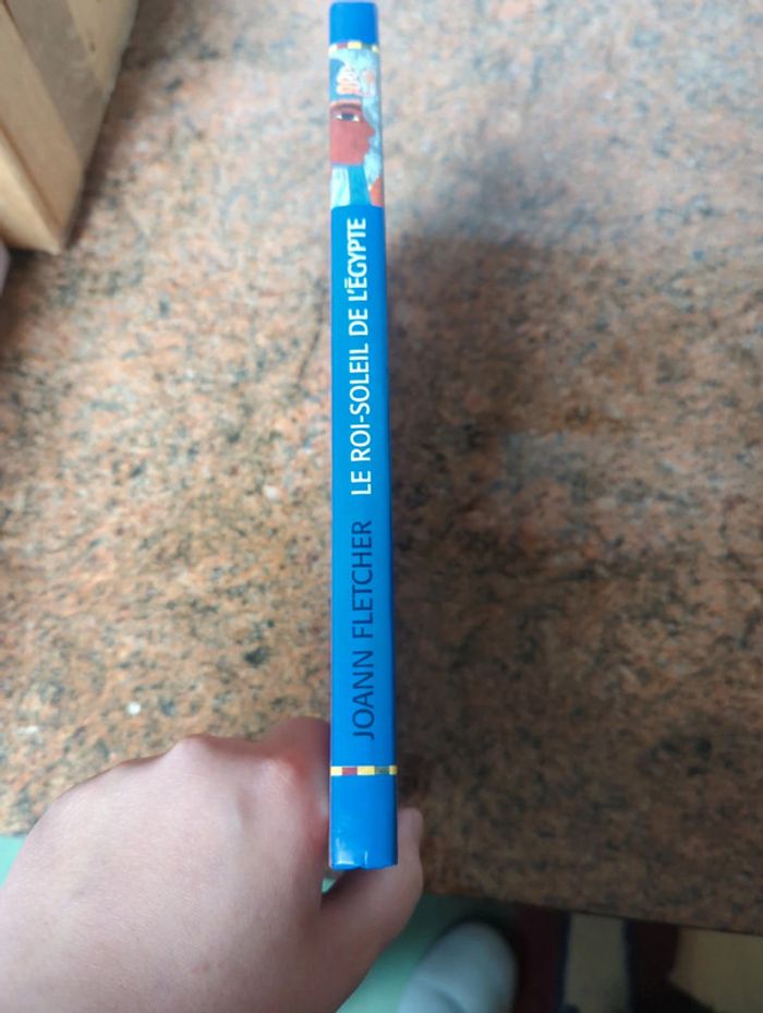 Livre '' Le roi soleil de l'Égypte '' - photo numéro 4