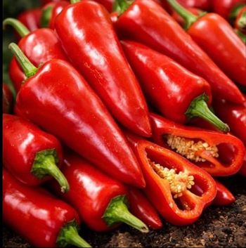 Piment kapia 35 graines 