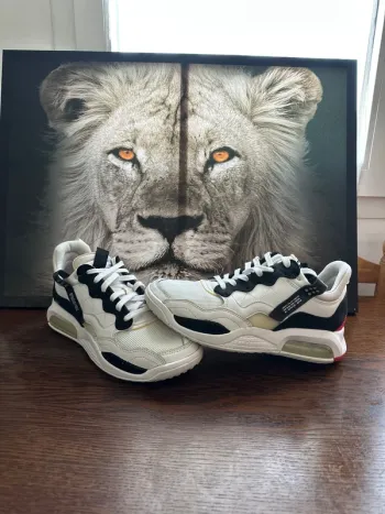 Basket Nike Jordan Ma2