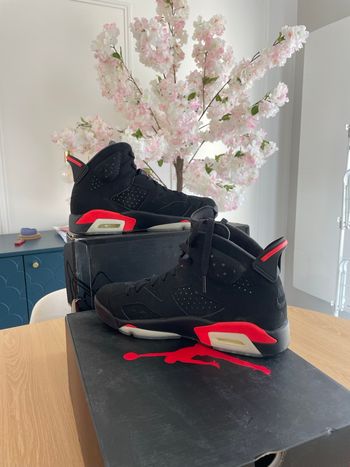 Jordan 6 infrared 41
