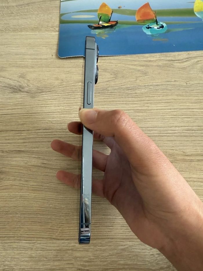 A p p l e treize pro max. - photo numéro 6