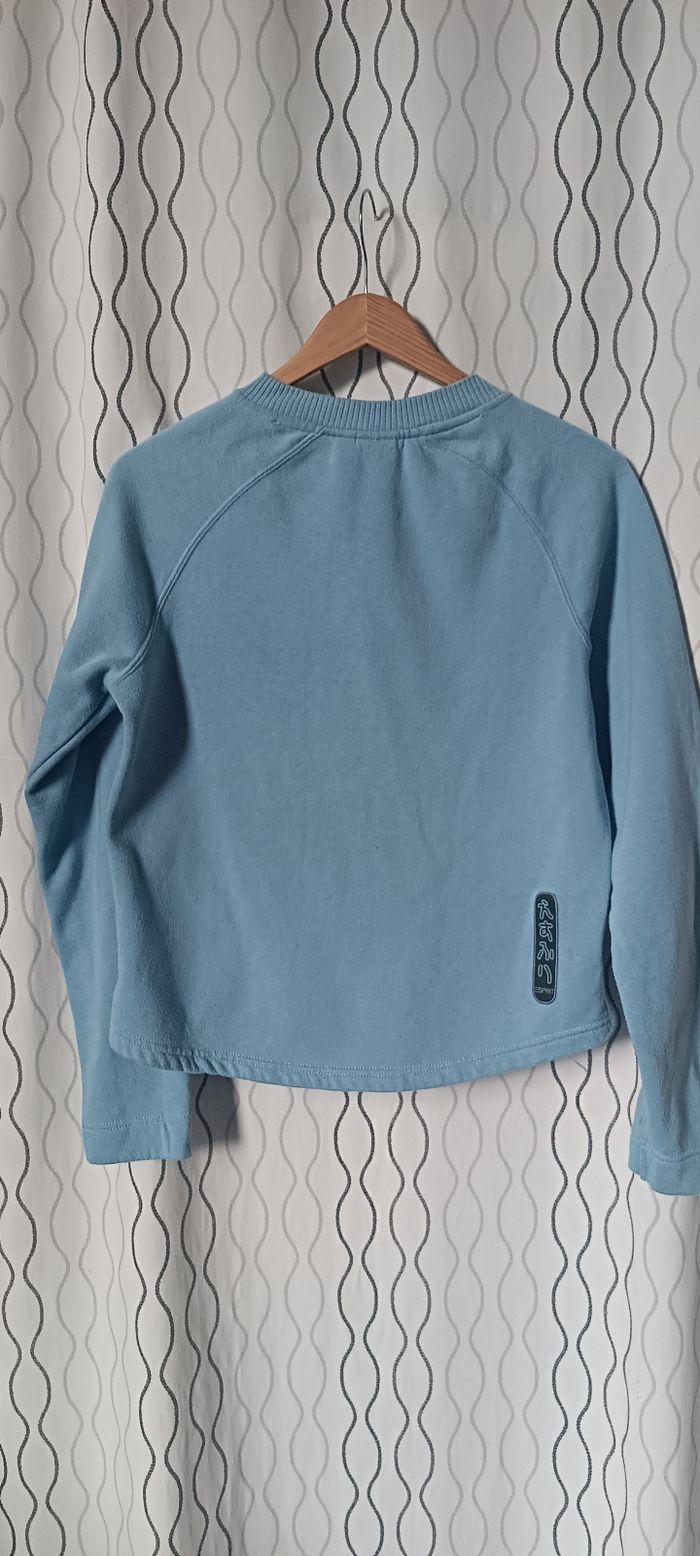 Sweat / esprit / 36 - photo numéro 2