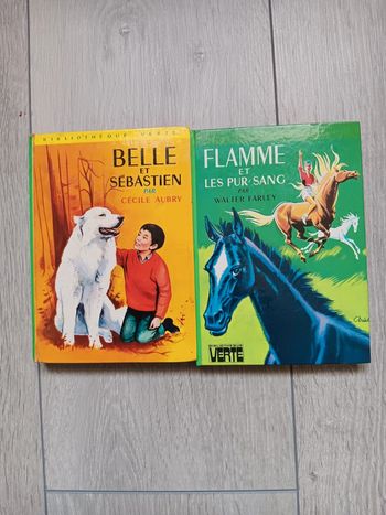 Lot de 2 livres de la bibliothèque verte