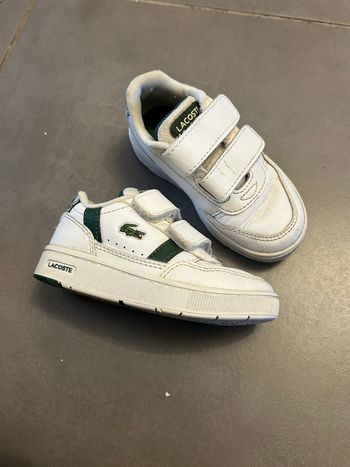 Basket Lacoste Mixte