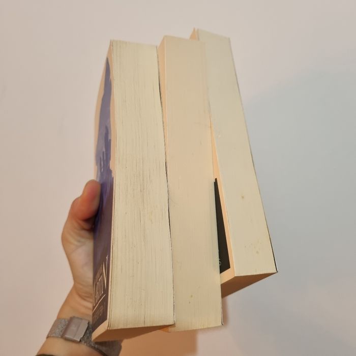 3 livres ́le trône de fer indissociables + Goodies - photo numéro 7