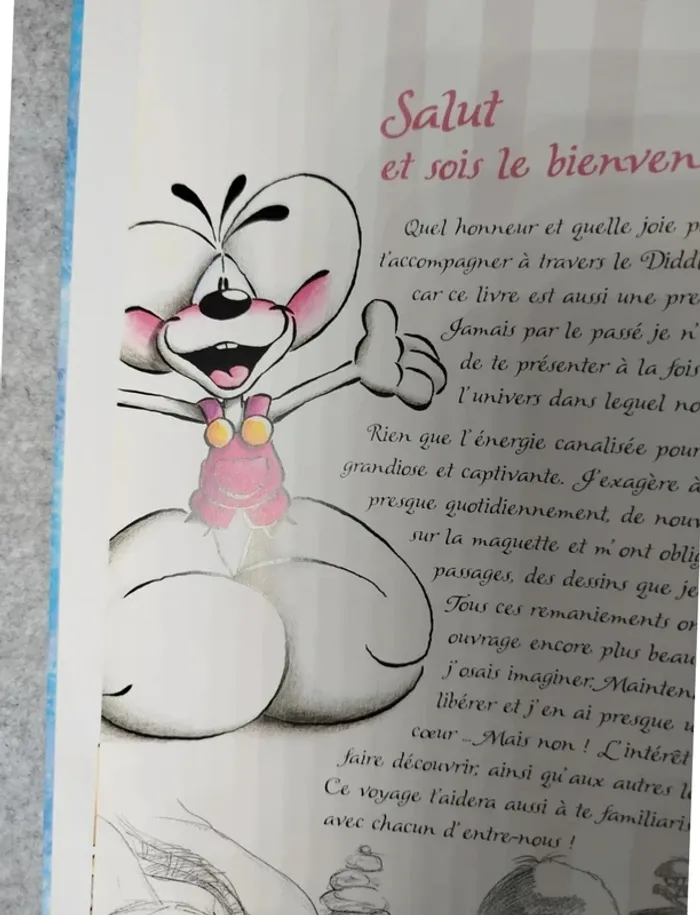 Livre Collector Diddl et ses Amis Super état - photo numéro 4