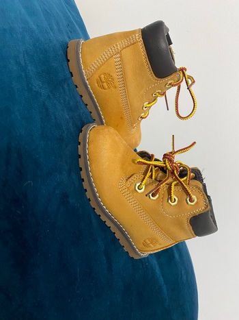 Chaussure timberland