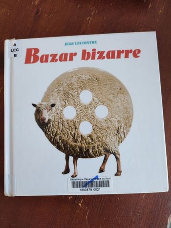 Livre Bazar bizarre