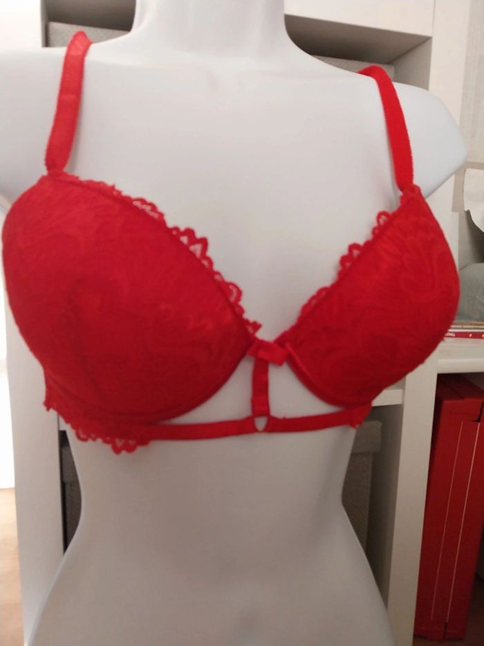 Push up rouge harnais 95 C