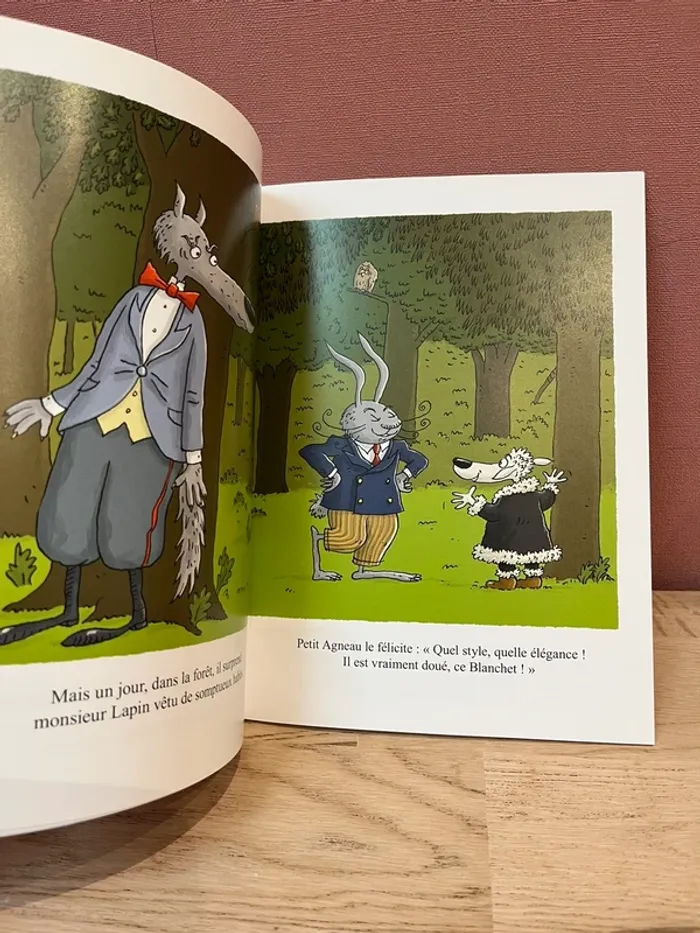 Livre école des loisirs 11 - photo numéro 2