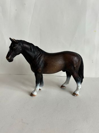 Cheval Schleich