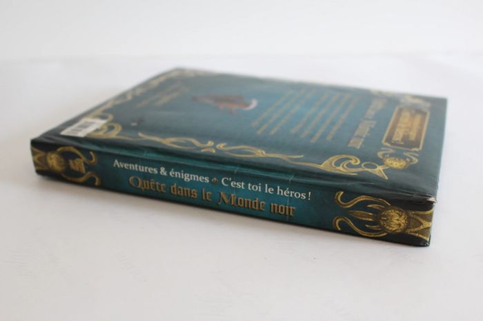 Deux coqs d'or Livre Heros - Quete dans le monde noir - photo numéro 6
