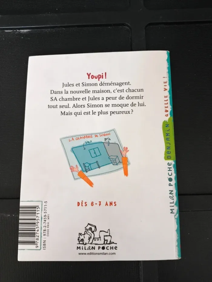 Livre "bonne nuit ouistitis" - photo numéro 2