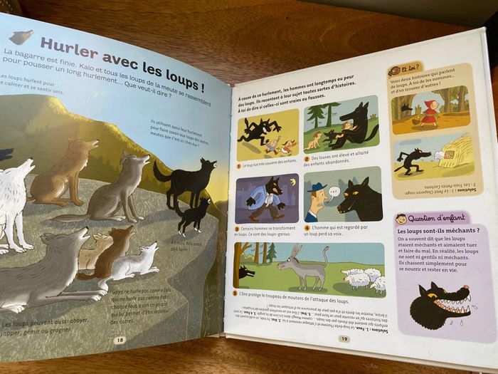 Dokeo le loup - photo numéro 7