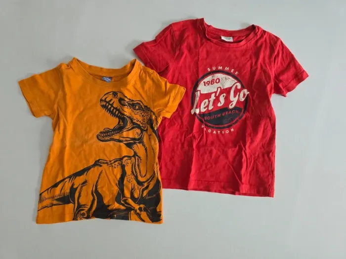 Lot de 2 tee shirt manches courtes