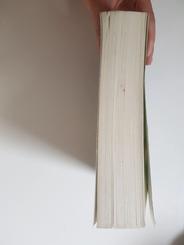 Rick Riordan (Écrivain) Les Travaux d'Apollon, Tome 3 : Le Piège de feu - photo numéro 6