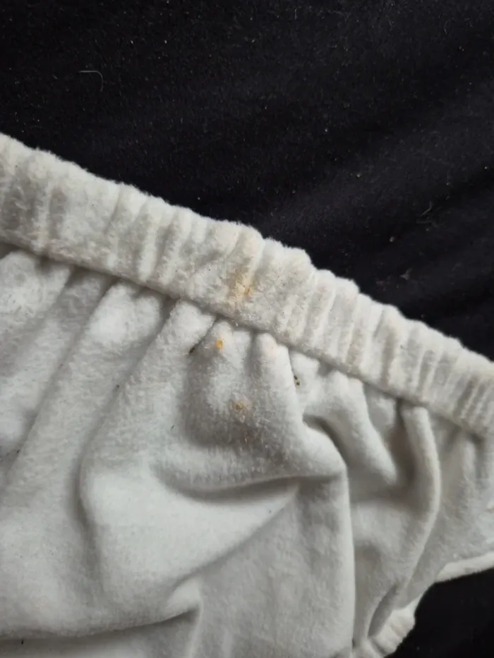 Couche lavable bébé marque pampers - photo numéro 3