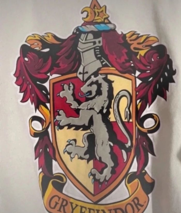 Sweat Harry Potter - photo numéro 2