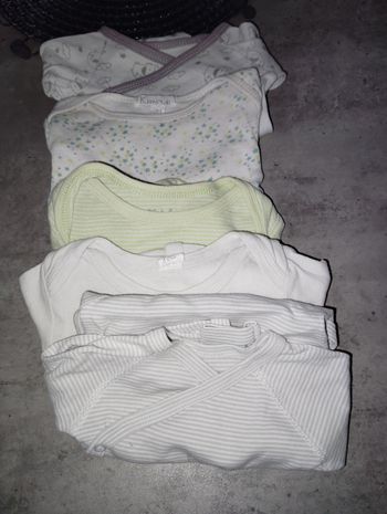 Bodies