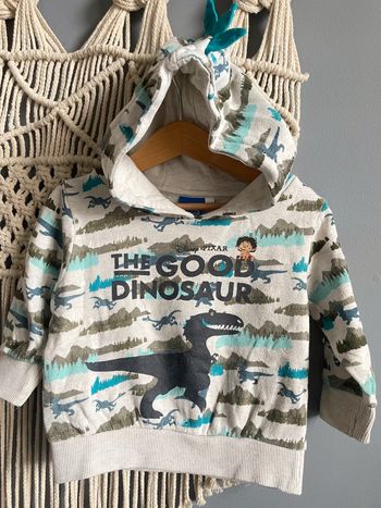 Pull dinosaure t.18m