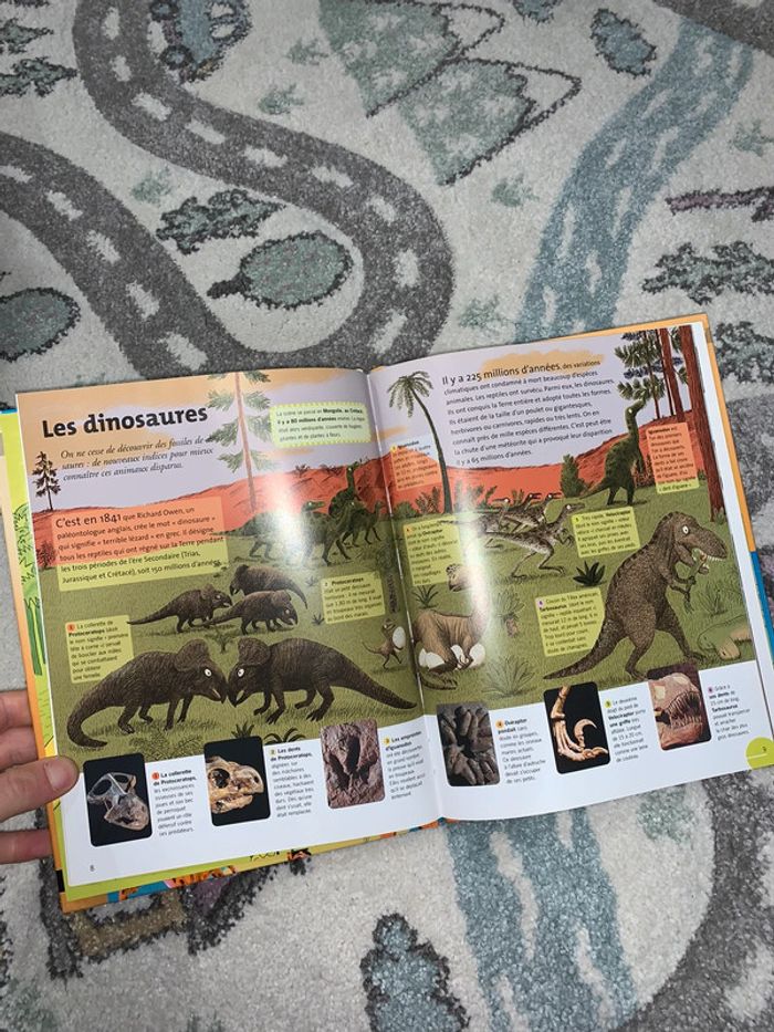 Livre dokéo + Les Animaux 📚 - photo numéro 4