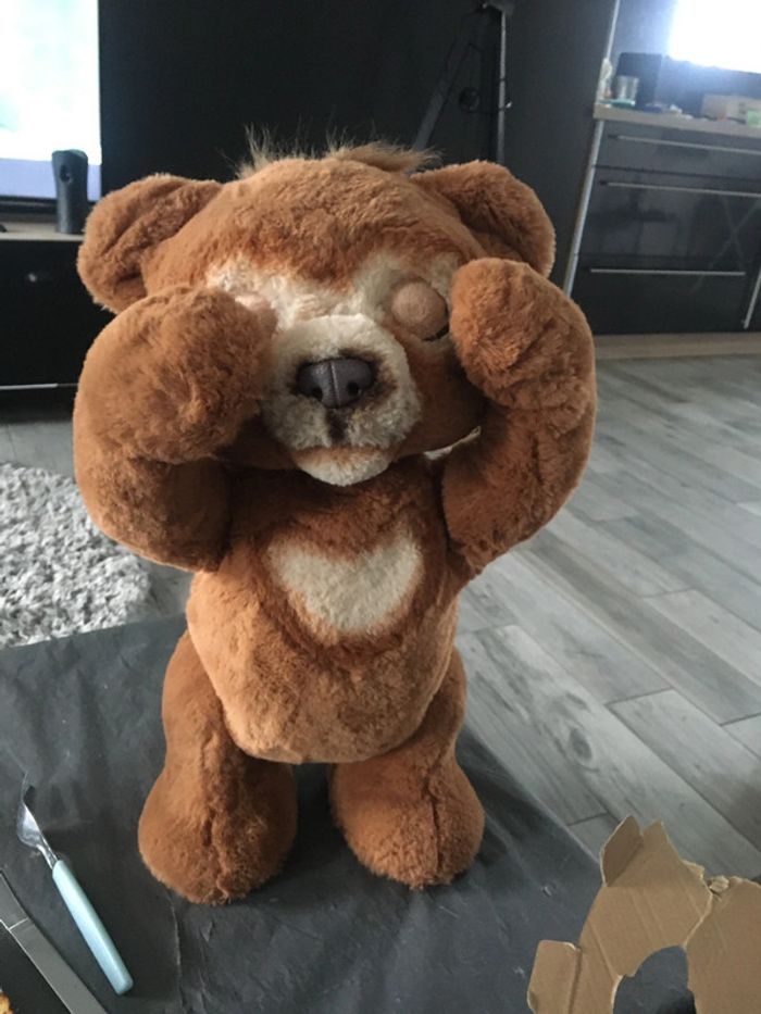 Ours 🐻 cubby