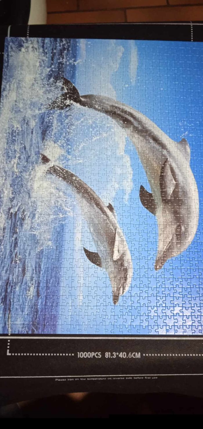 Puzzle Dauphins 🐬 - photo numéro 2