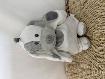 doudou chien tiamo