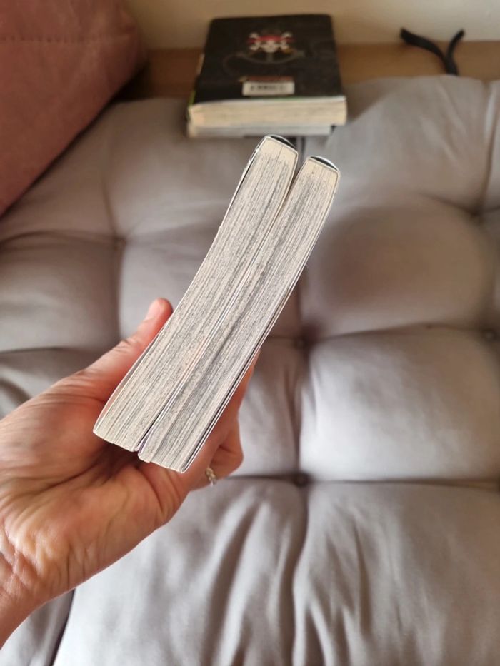 Lot mange Black Clover - photo numéro 5