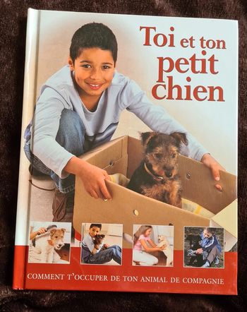 Toi et ton petit chien comment t'occuper de ton animal de compagnie