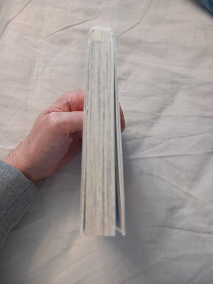 Radiant Tome 1 - photo numéro 4