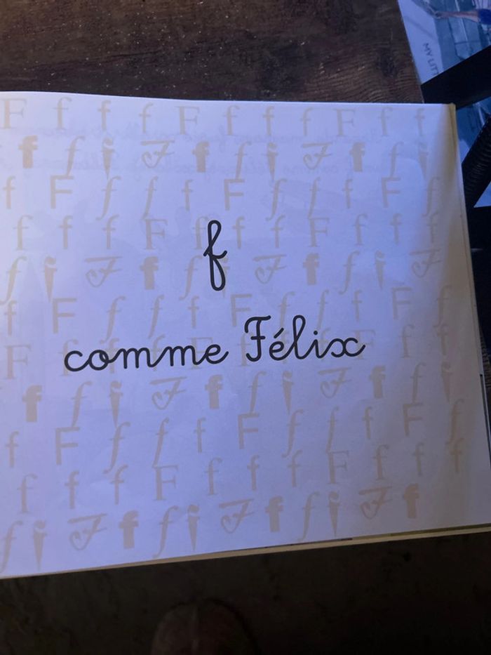 F comme Félix - photo numéro 4