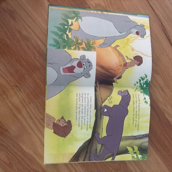 Le livre de la jungle - photo numéro 2