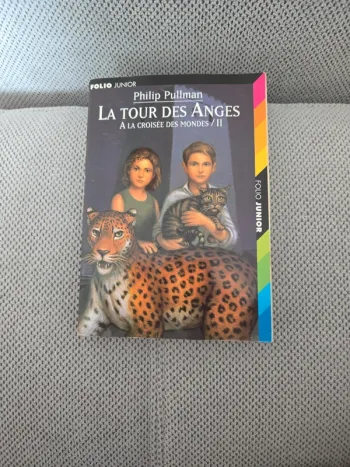 Livre la tour des anges