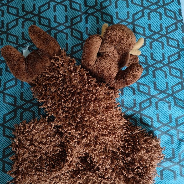 Écharpe tête de rennes