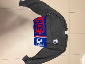 Pull court gris champion