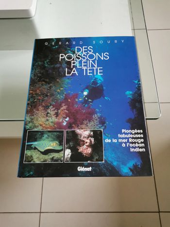 Des poissons plein la tête